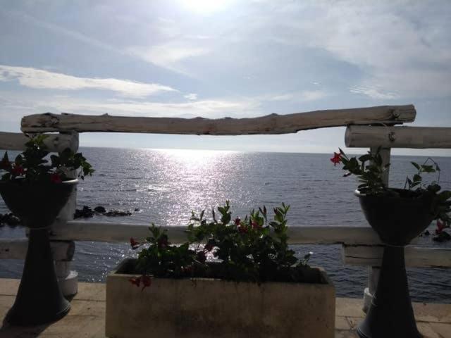 Al Chiaro Di Luna Resort Borgo Pantano エクステリア 写真